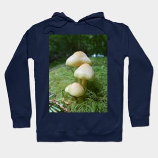 Mushroom Closeup Nature Photography Pacific Northwest Hoodie